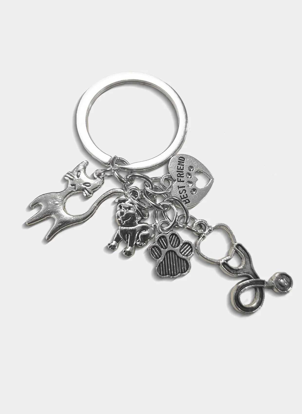 The Vet Life Keychain
